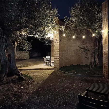 Lägenhet Among The Olive Trees *